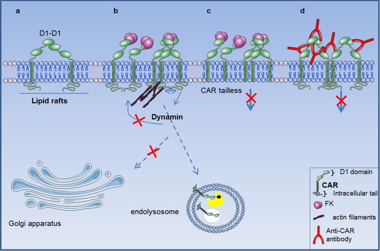 FIGURE 11.