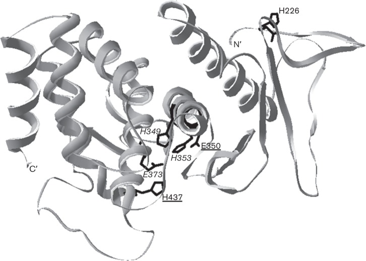 Fig. 1. 