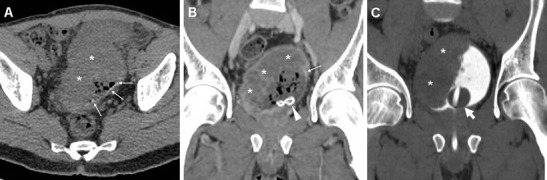 Fig. 8