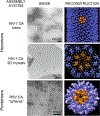 Fig. 8