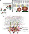 Fig. 3