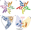 Fig. 10