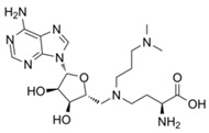 graphic file with name biology-10-00581-i028.jpg