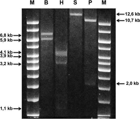 FIG 4