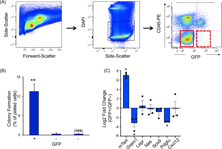 FIGURE 2