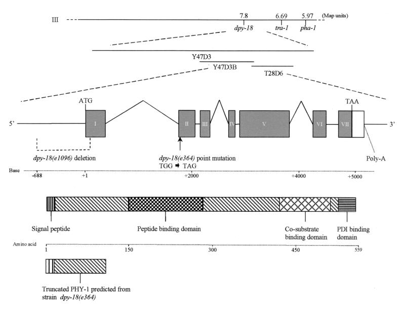 FIG. 6