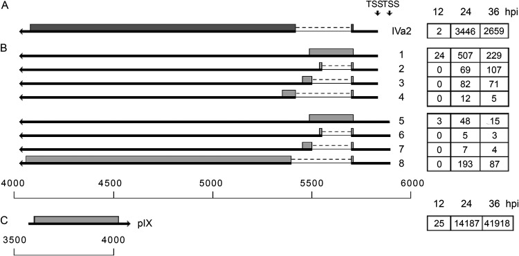 FIG 6