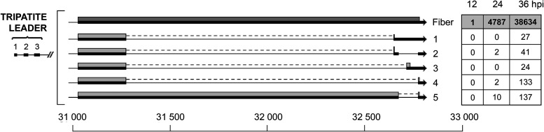 FIG 14