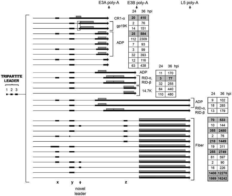 FIG 13