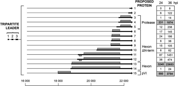 FIG 10