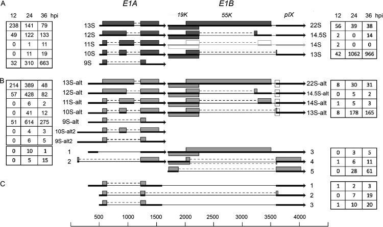 FIG 2