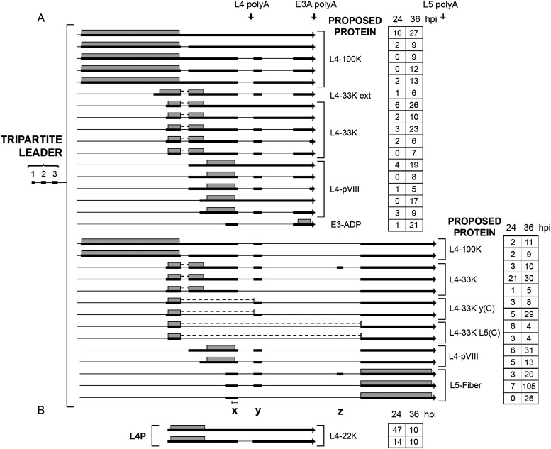 FIG 12