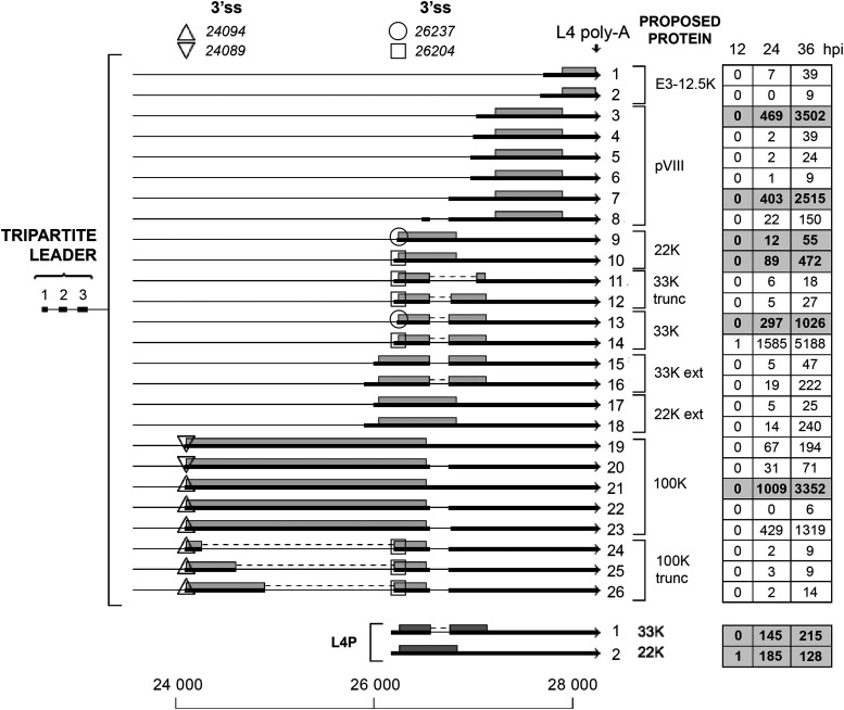 FIG 11