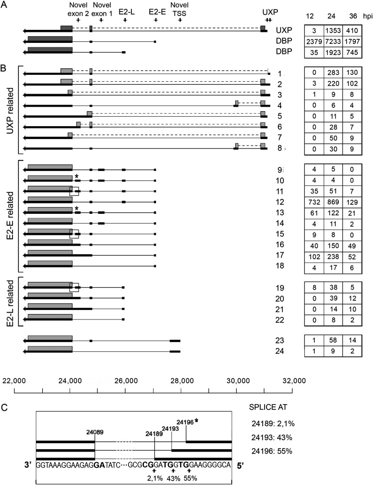 FIG 3