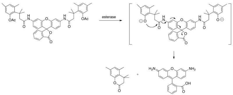 Fig. (8)