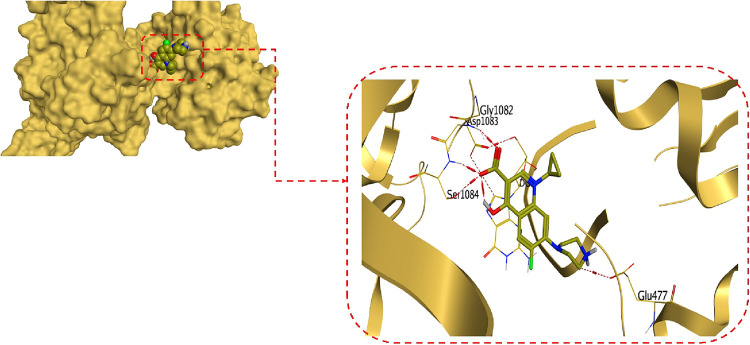 Figure 6