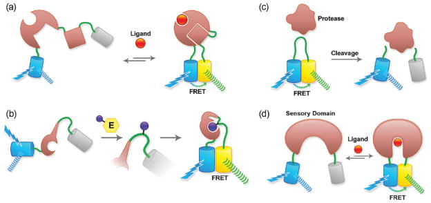 Fig. 4