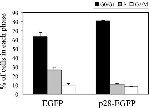 FIG. 7.