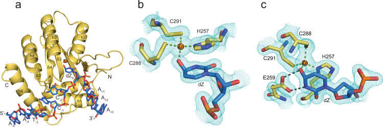 Fig. 1