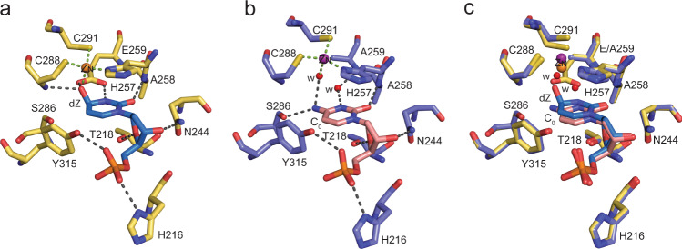 Fig. 3