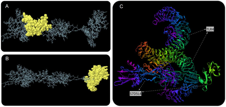 Figure 4