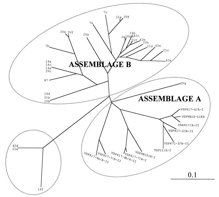 FIG. 4