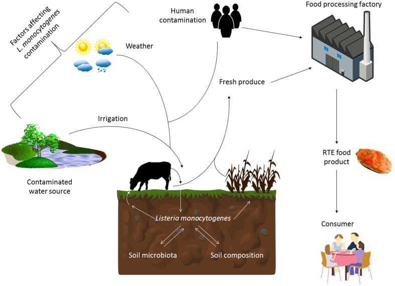 FIGURE 1