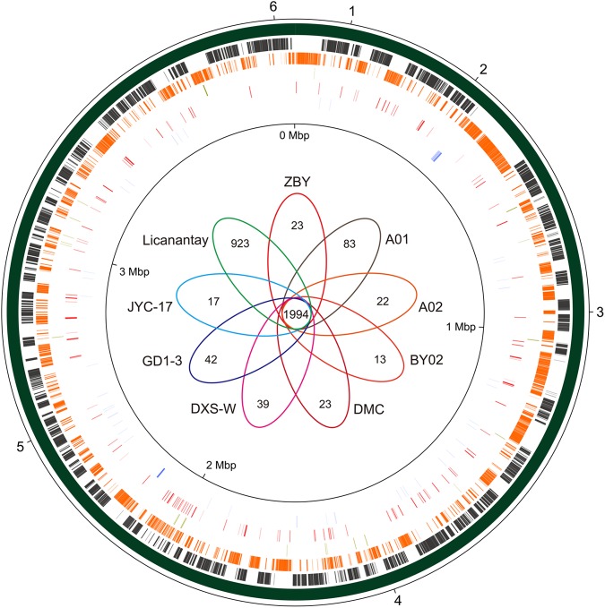 FIGURE 2