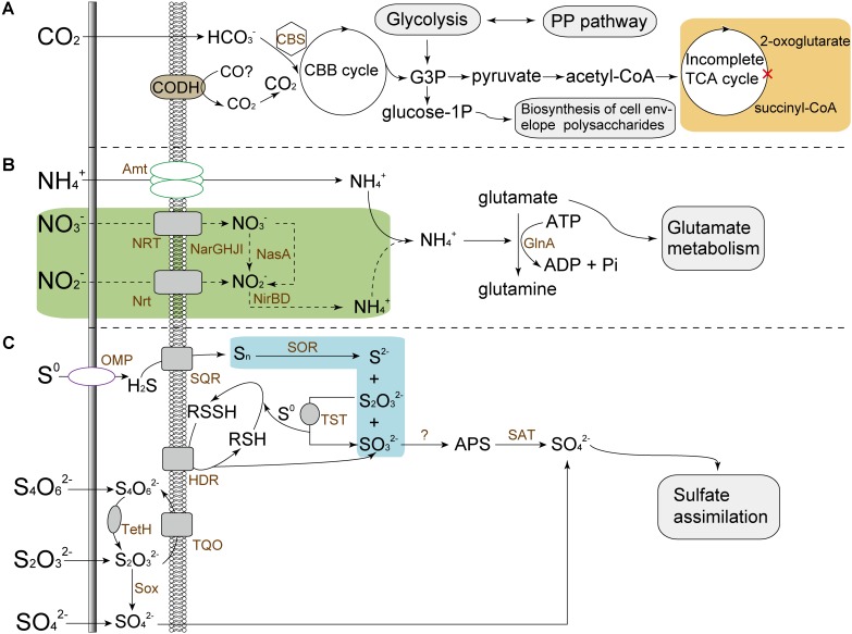 FIGURE 4