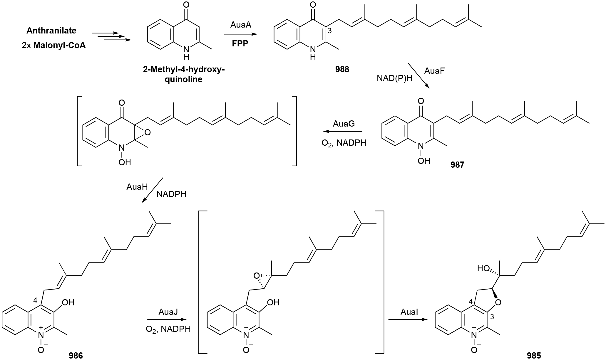 Scheme 22