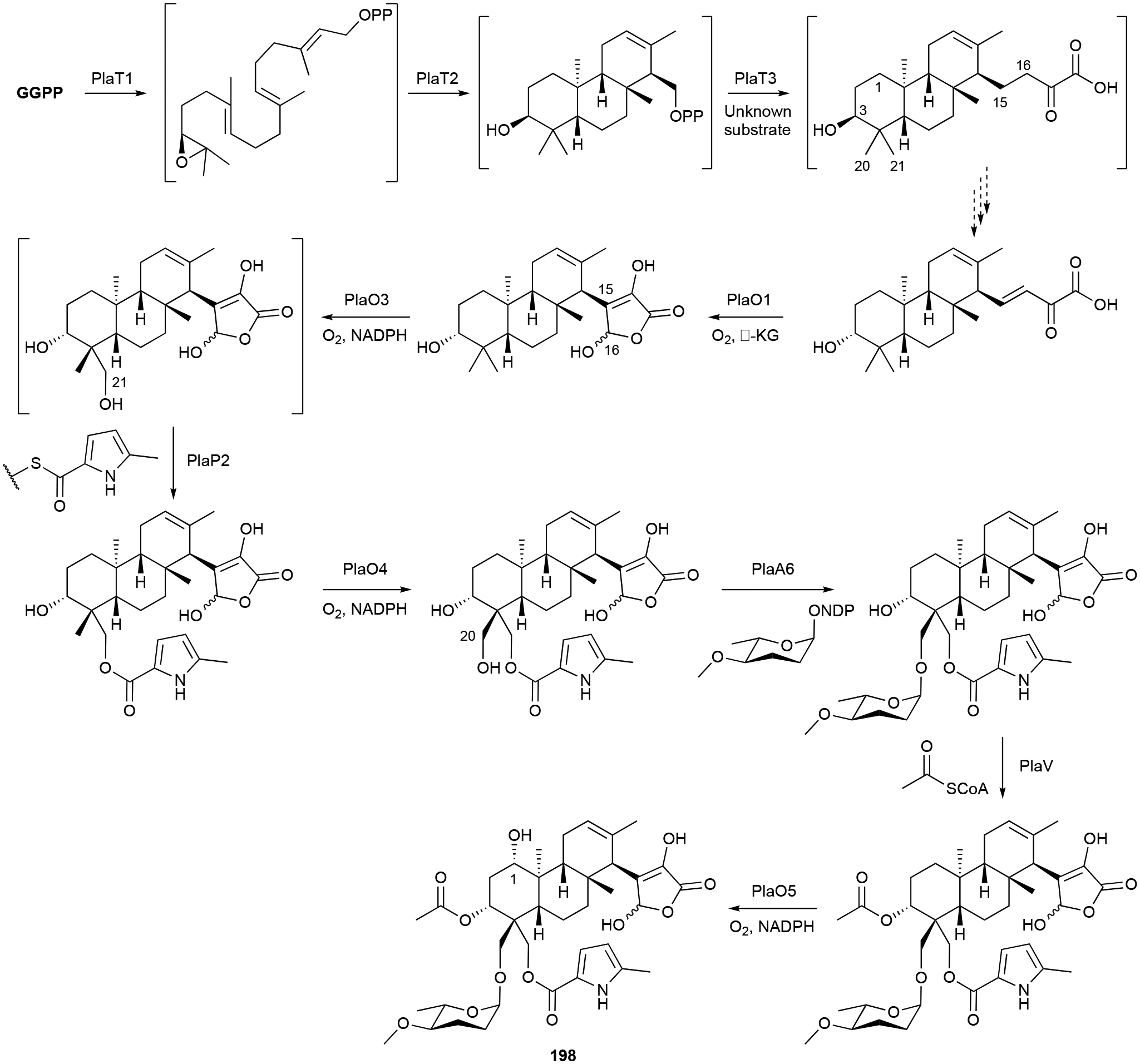 Scheme 7