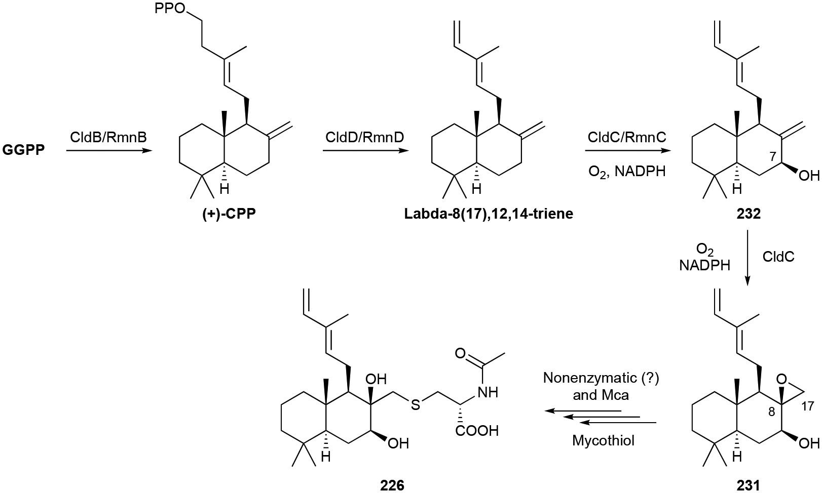 Scheme 9