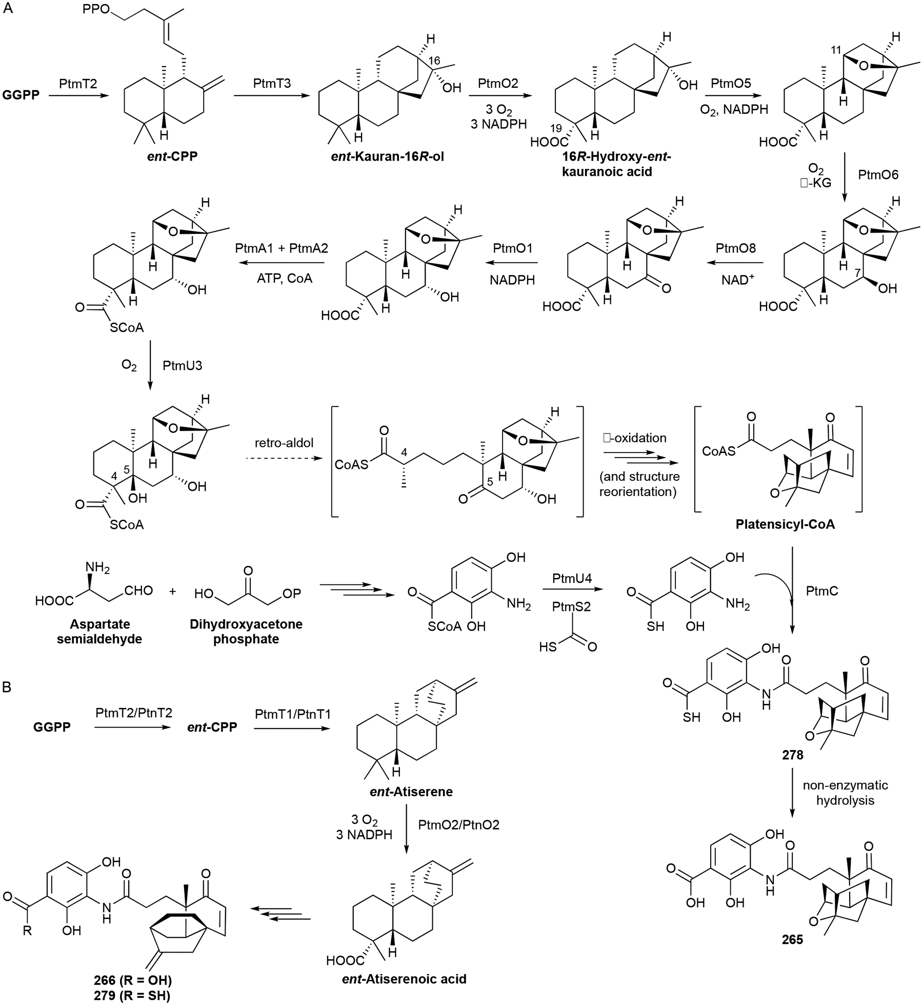 Scheme 11