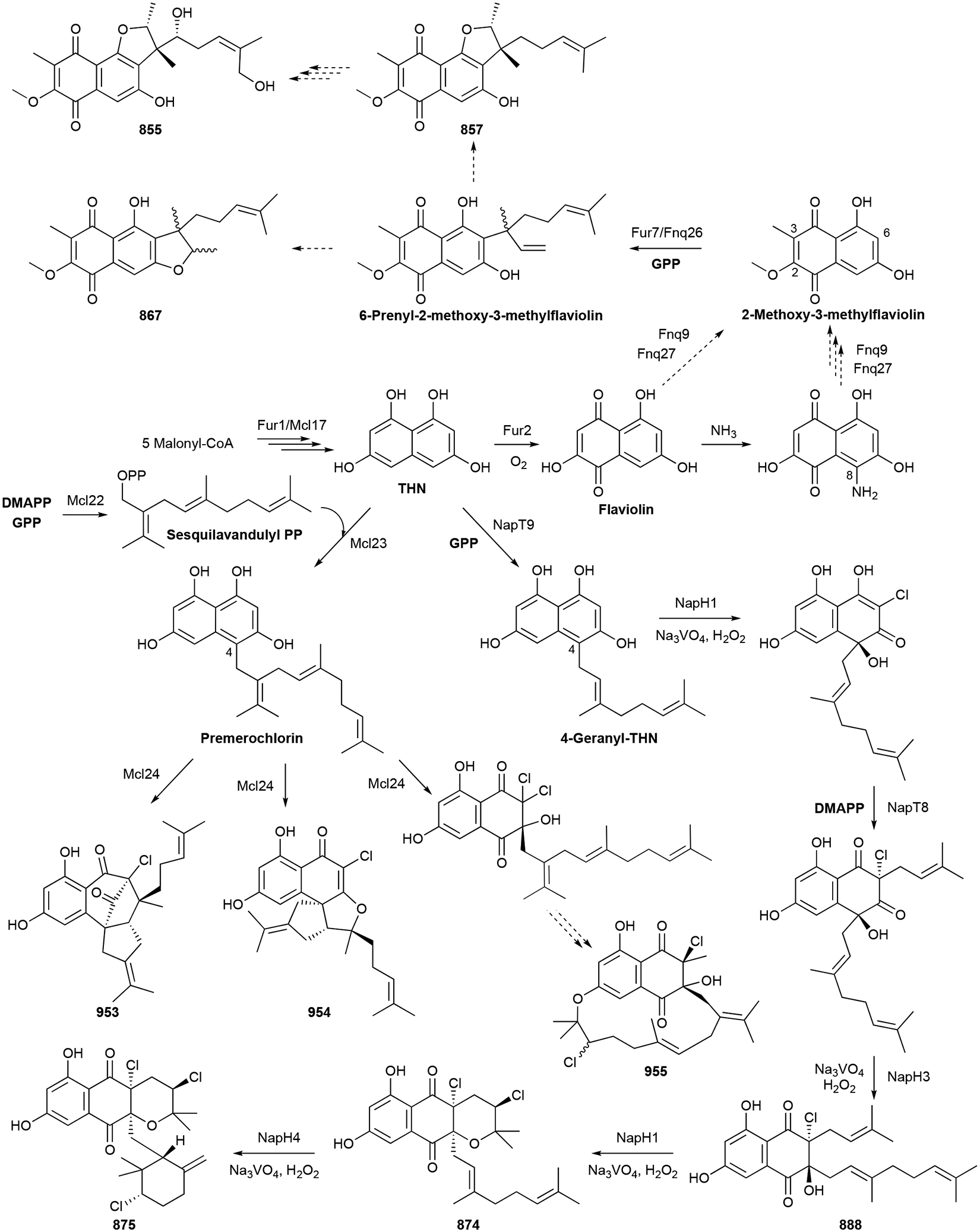 Scheme 21