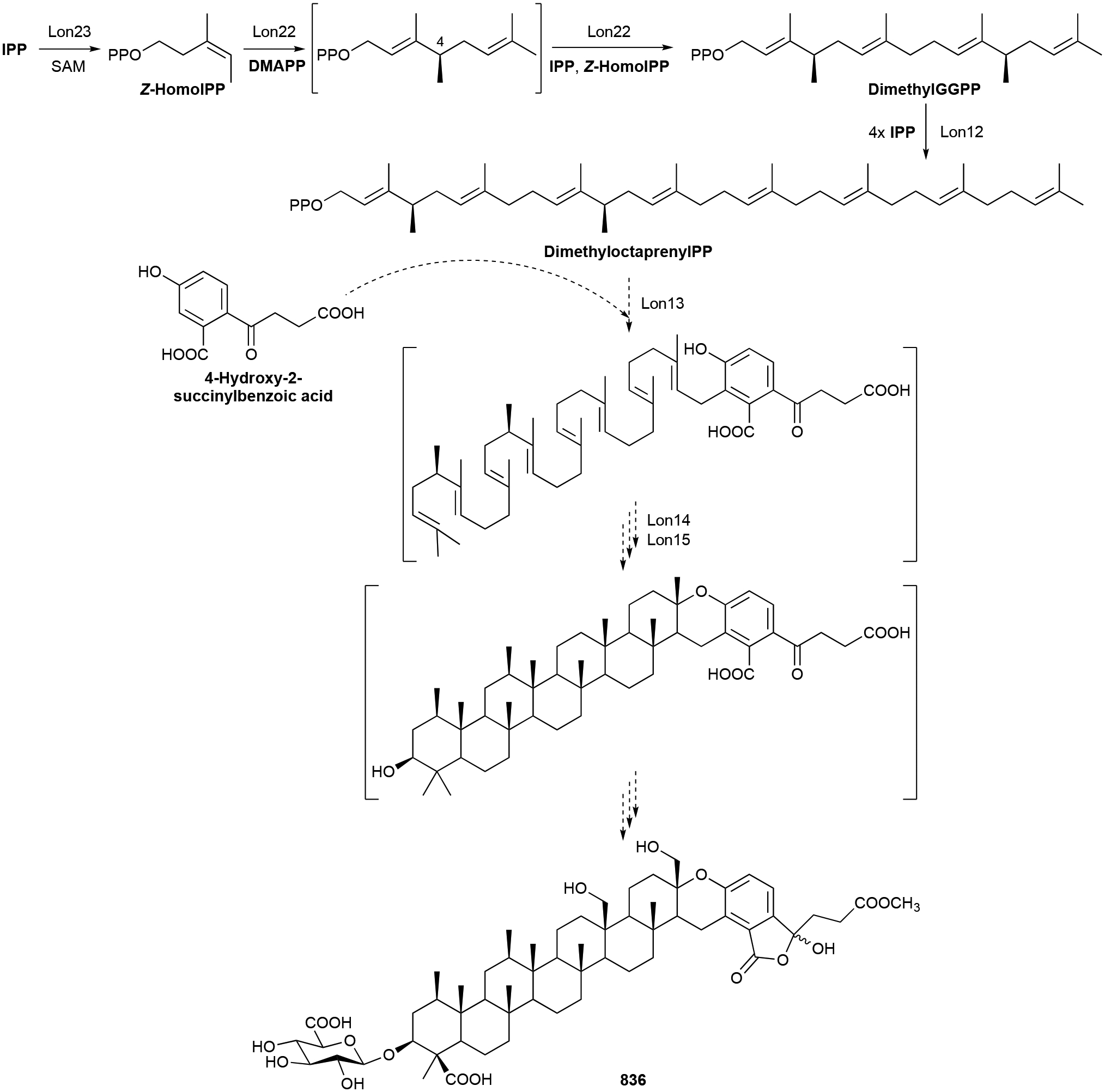 Scheme 20