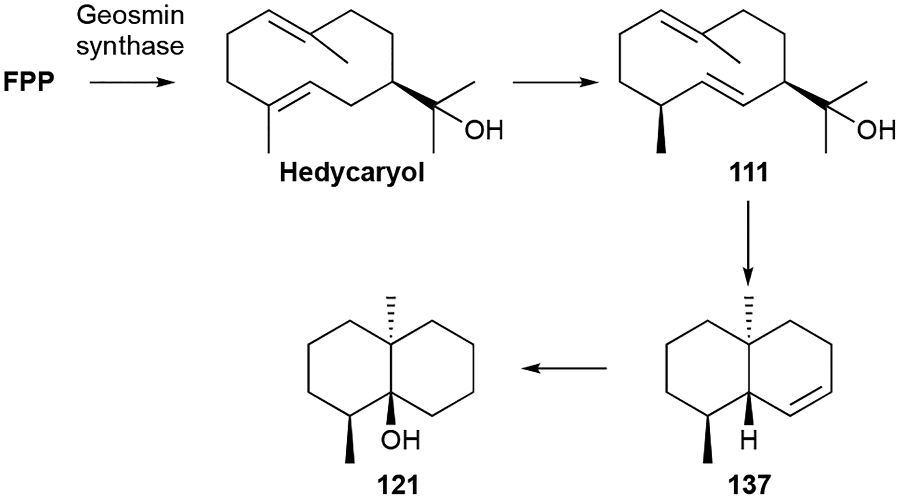 Scheme 3