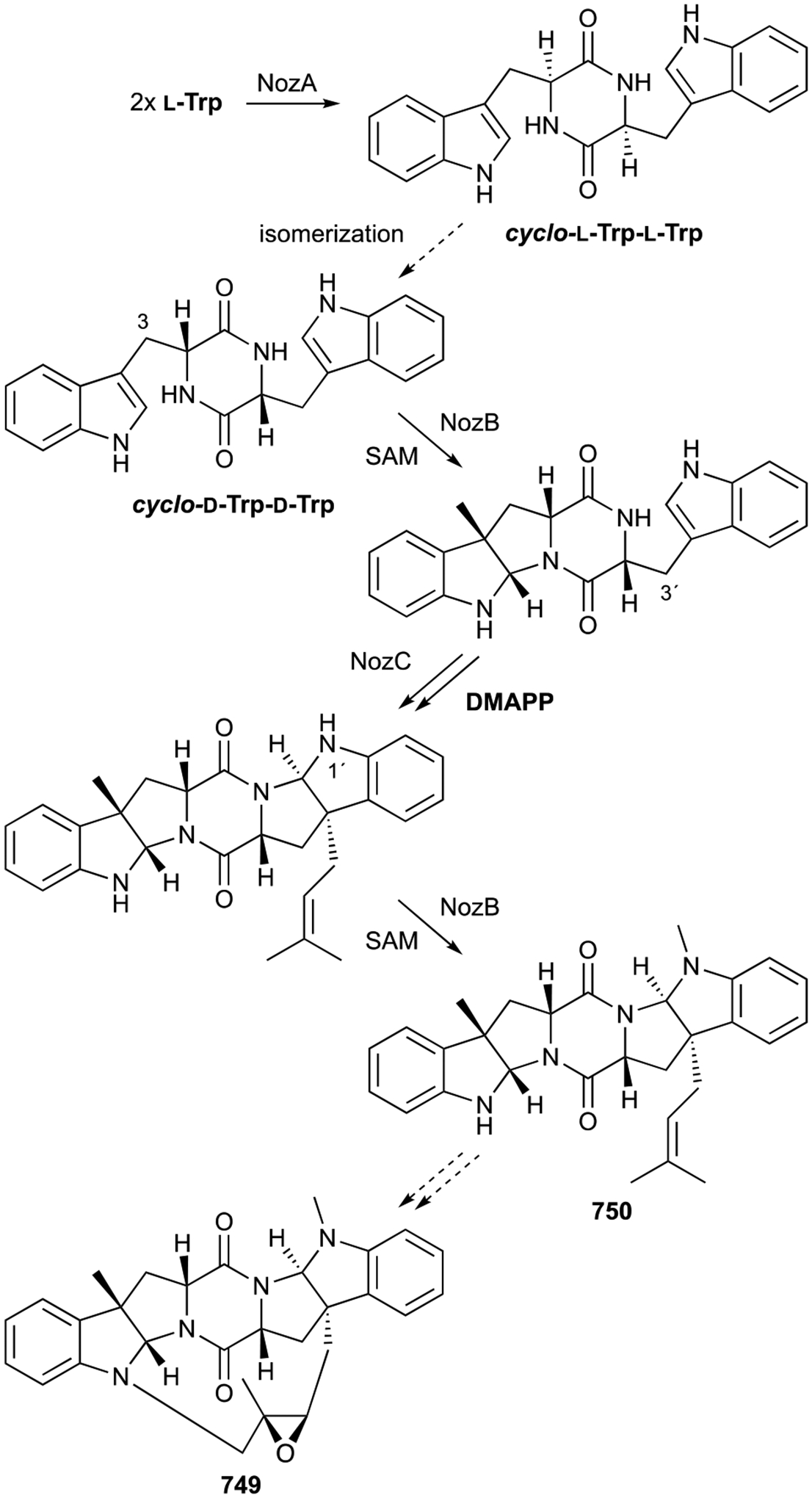 Scheme 18