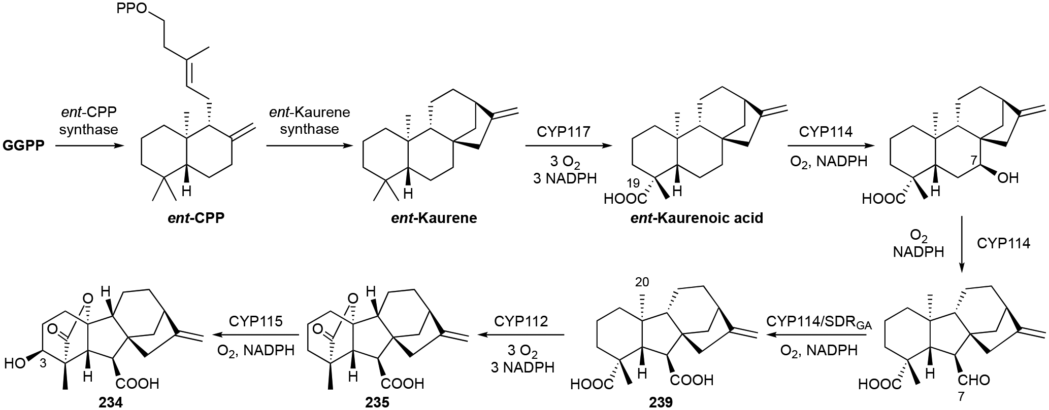 Scheme 10