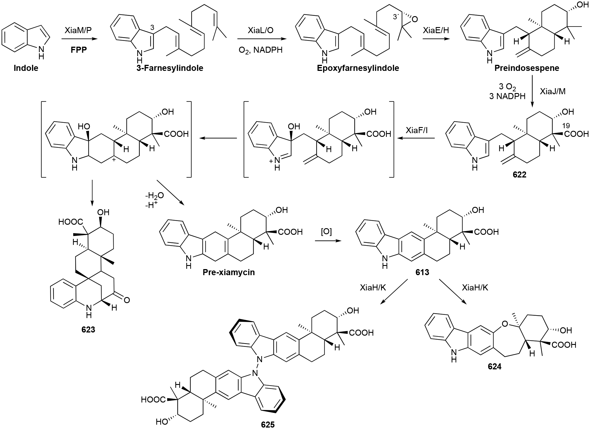 Scheme 15