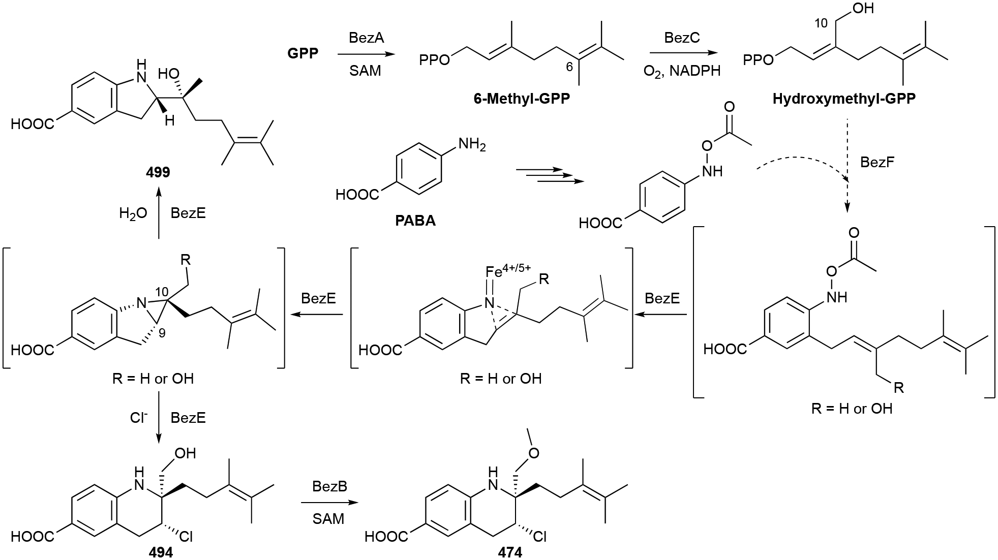 Scheme 13