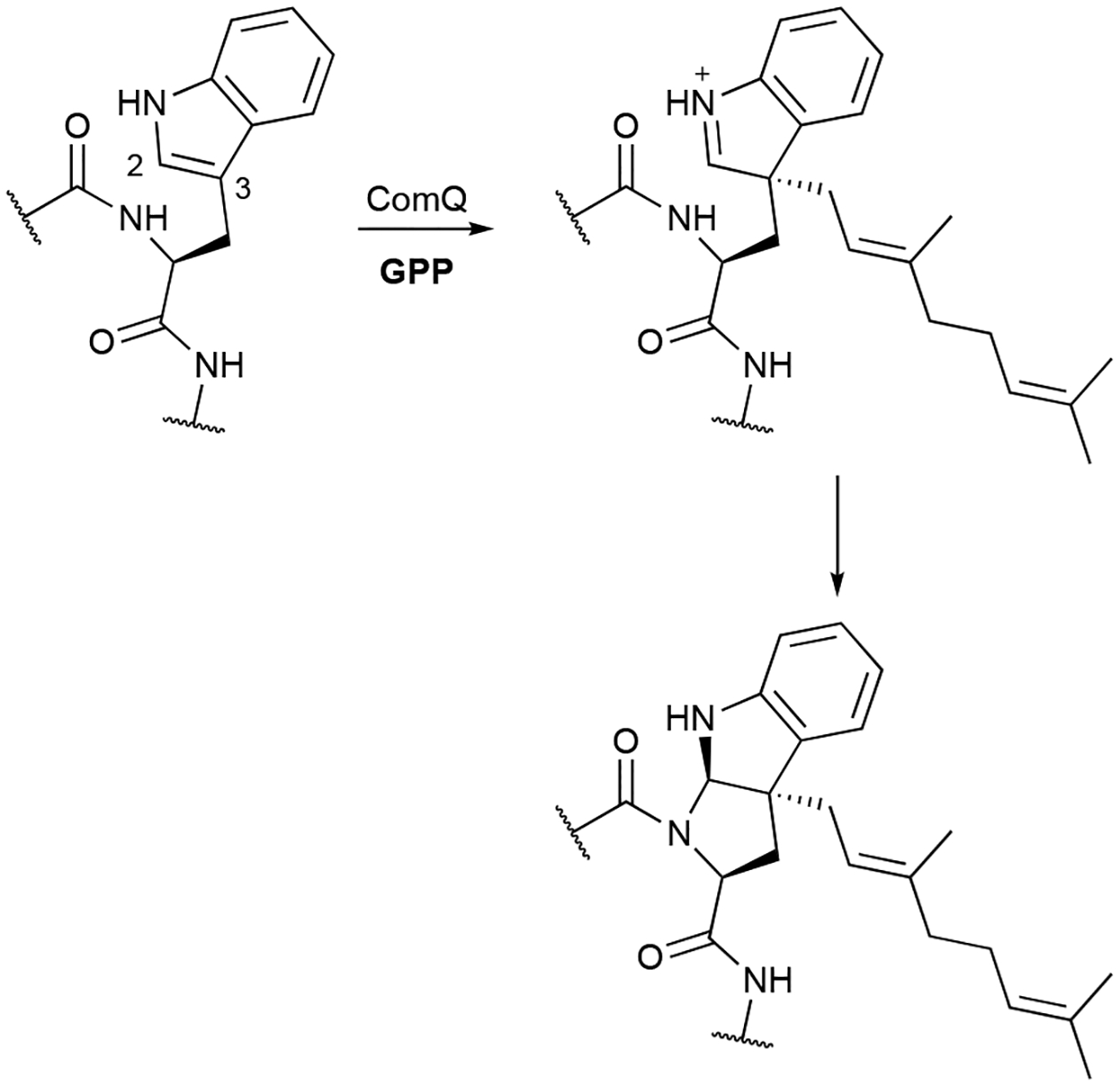 Scheme 16