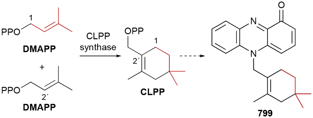 Scheme 19