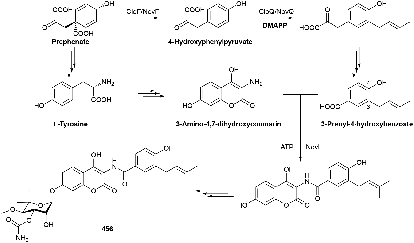 Scheme 12