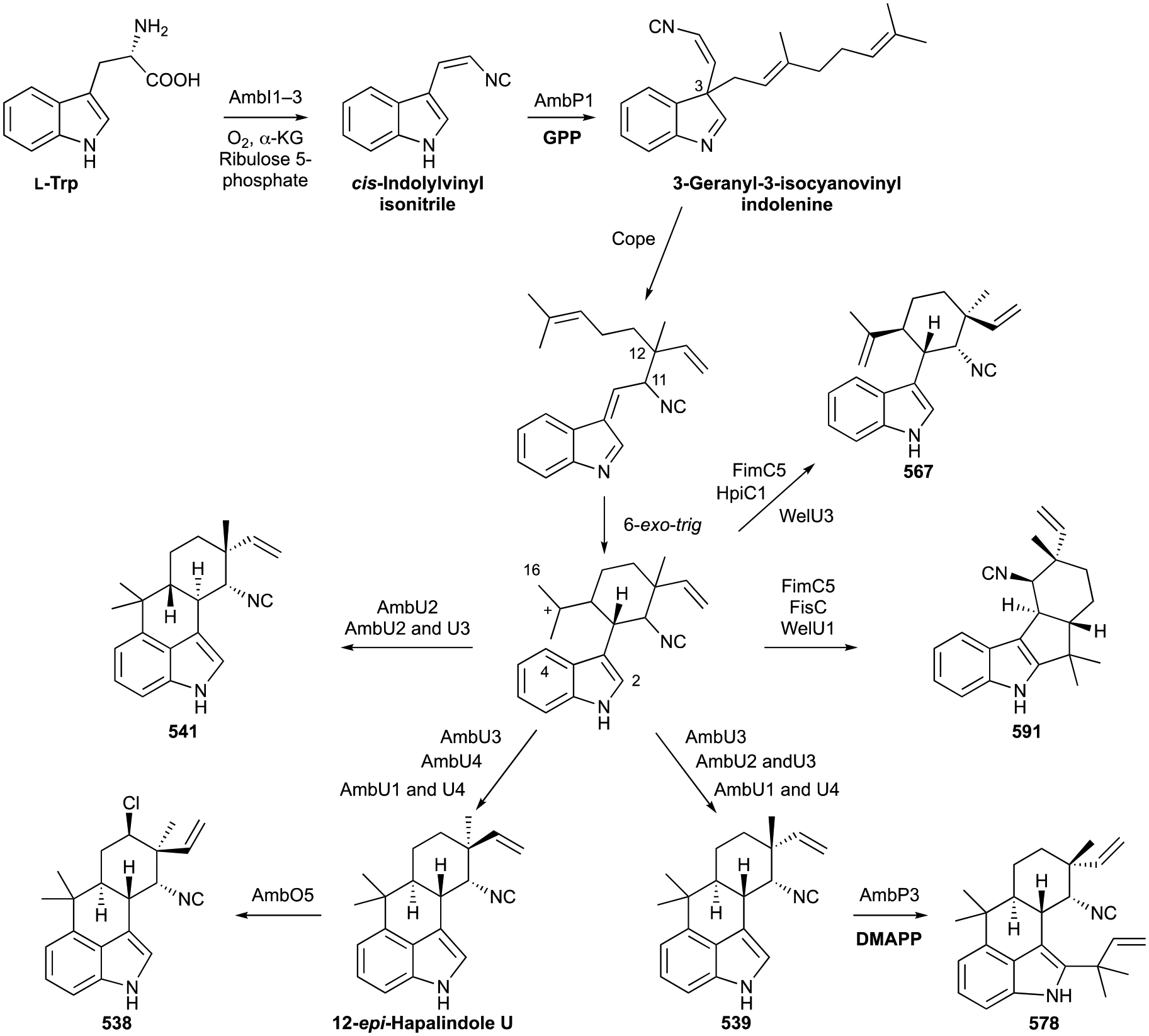 Scheme 14