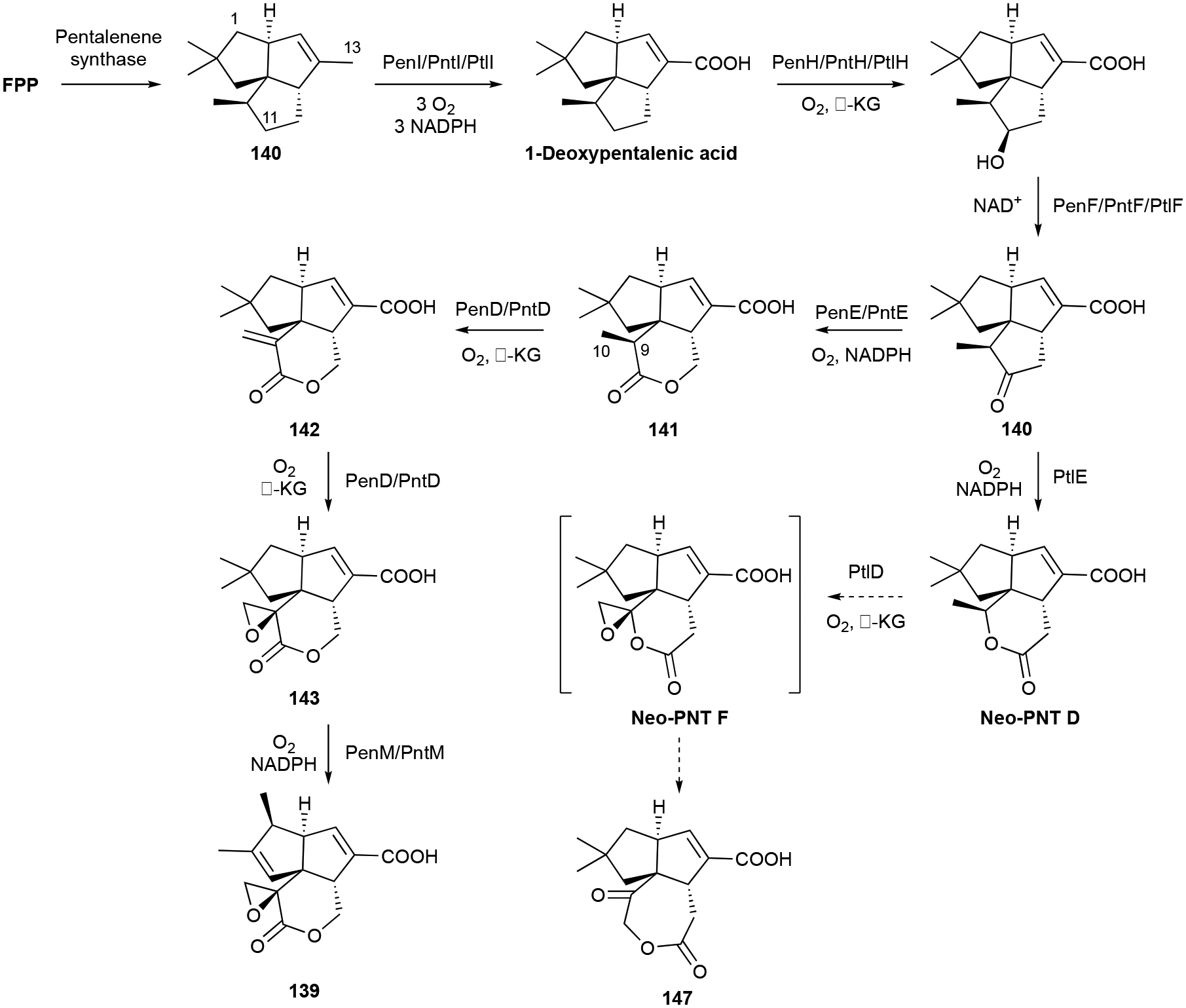 Scheme 4