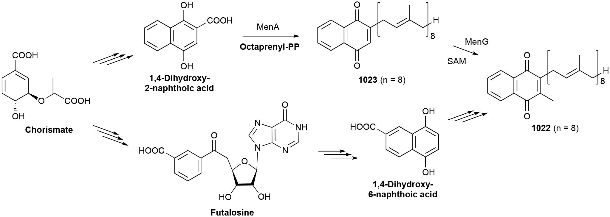 Scheme 23