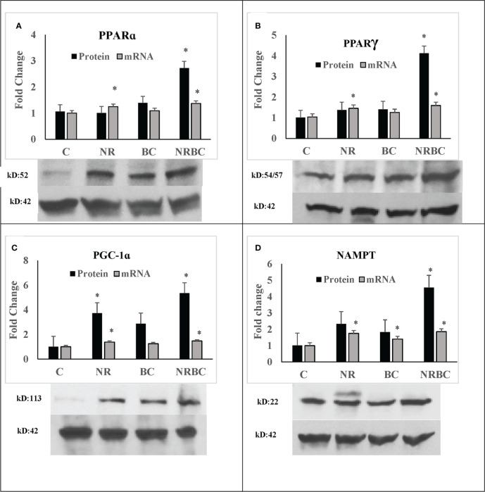 Figure 3