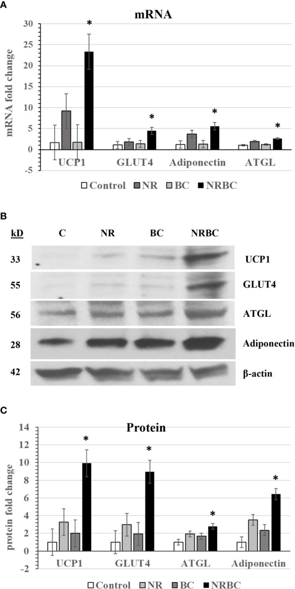 Figure 2