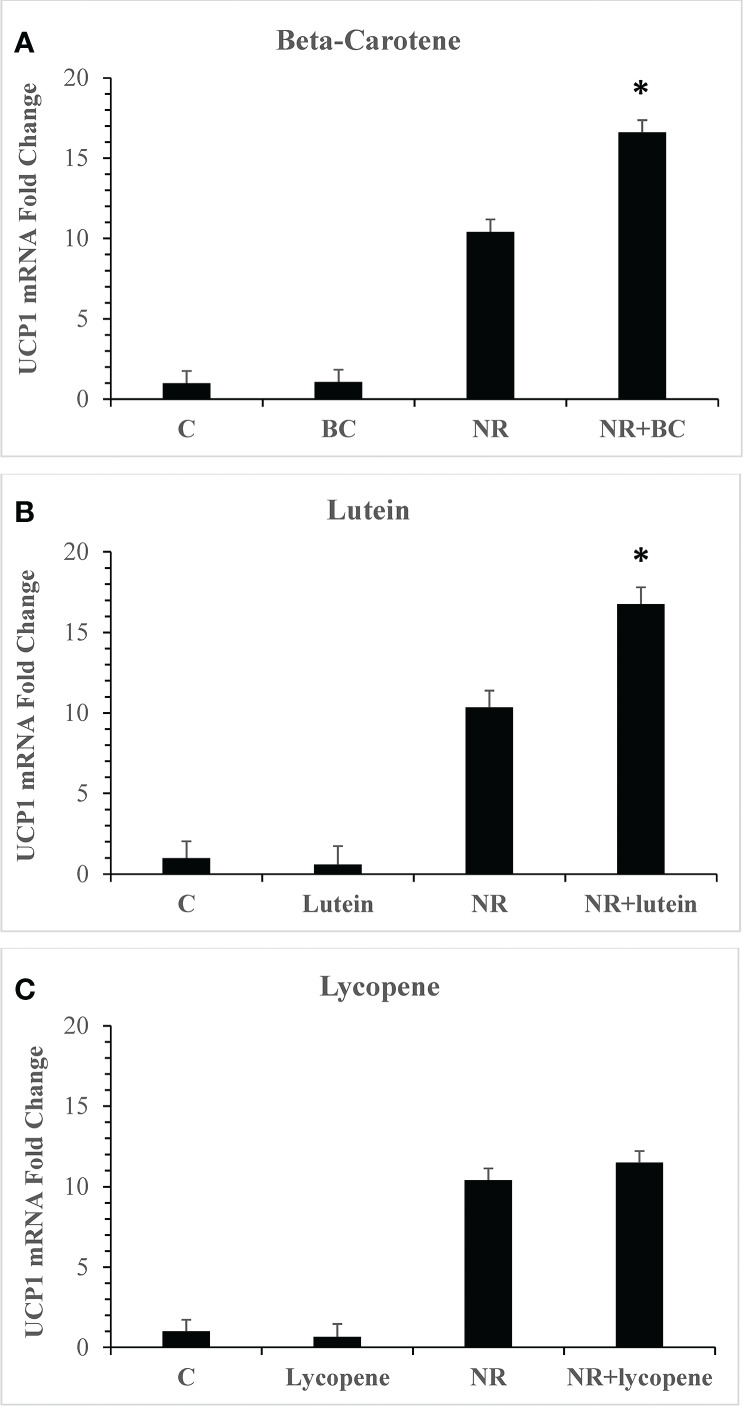 Figure 1