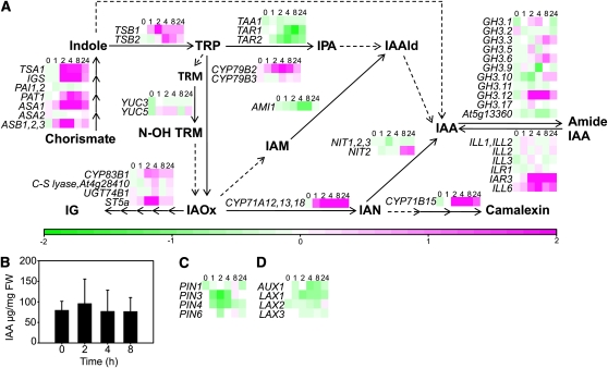 Figure 4.